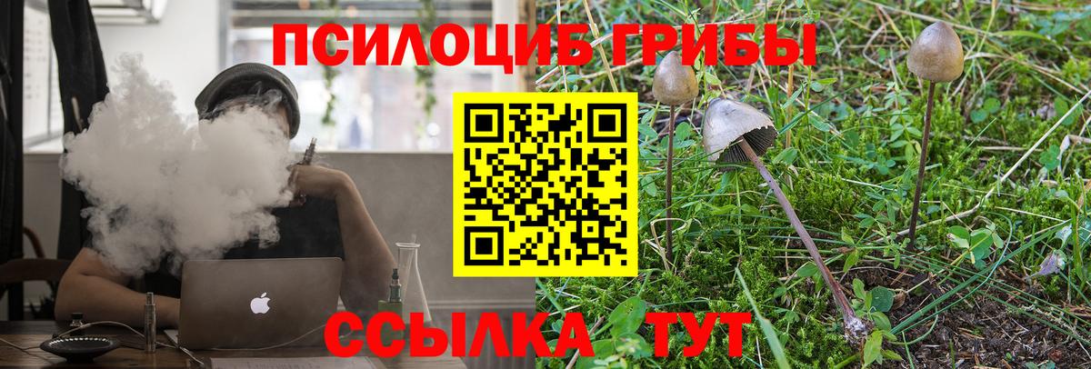 купить закладку  Псилоцибиновые грибы мицелий  Вход с VPN  Киров 